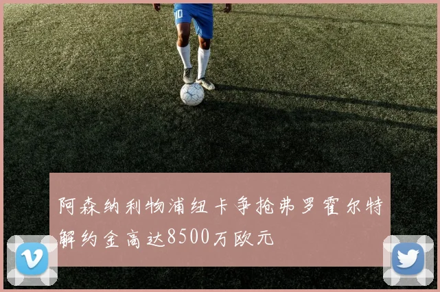阿森纳利物浦纽卡争抢弗罗霍尔特解约金高达8500万欧元