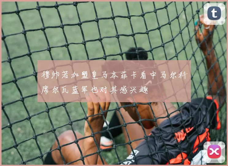 穆帅若加盟皇马本菲卡看中马尔科席尔瓦蓝军也对其感兴趣